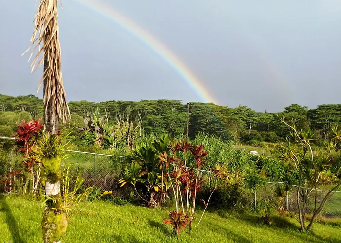 Hilo Luxury Suite